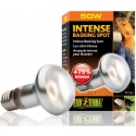 EXO TERRA Intense Basking Spot 50W (heating bulb)